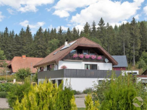 Ferienwohnung Bienek Schluchsee